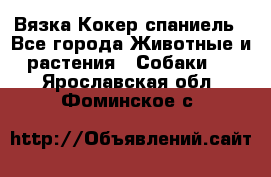 Вязка Кокер спаниель - Все города Животные и растения » Собаки   . Ярославская обл.,Фоминское с.